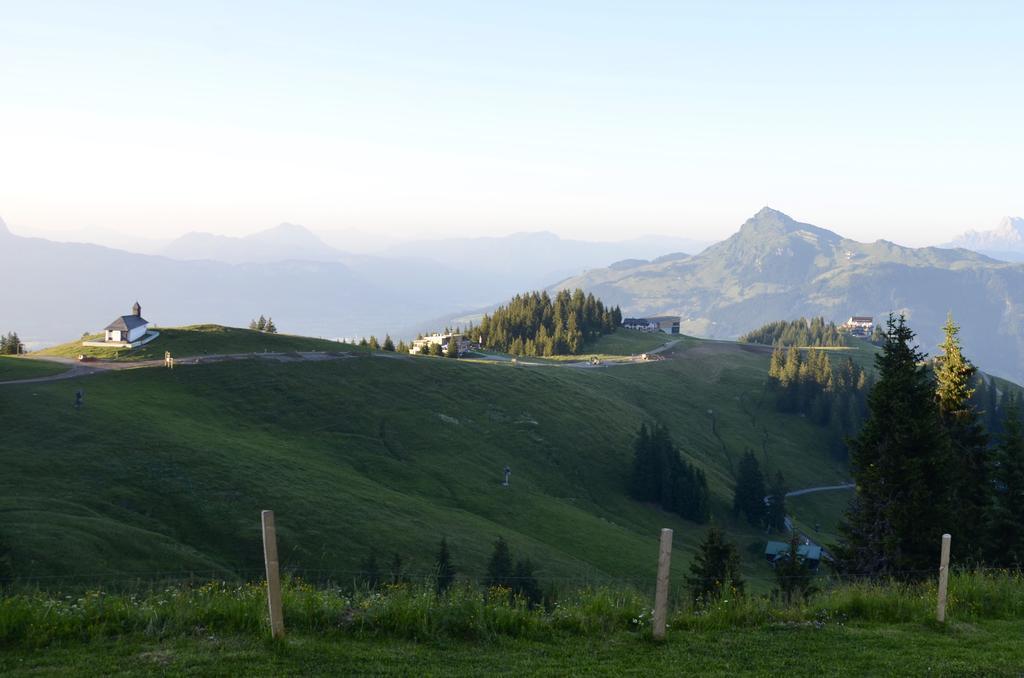 Ehrenbachhohe On Top Of The Mountain Kitzbühel Eksteriør bilde
